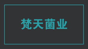 食品行業(yè)工作服定做設(shè)計(jì)款式